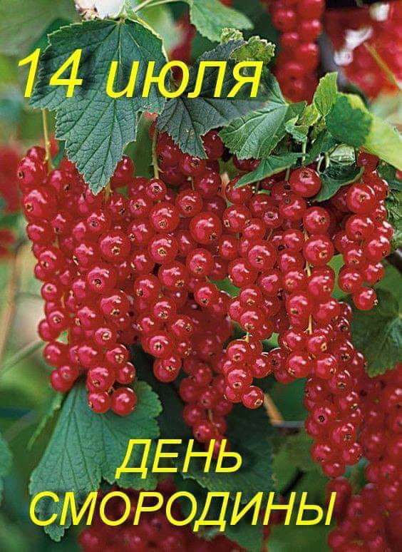 _ _ ОЁОДИНЫ