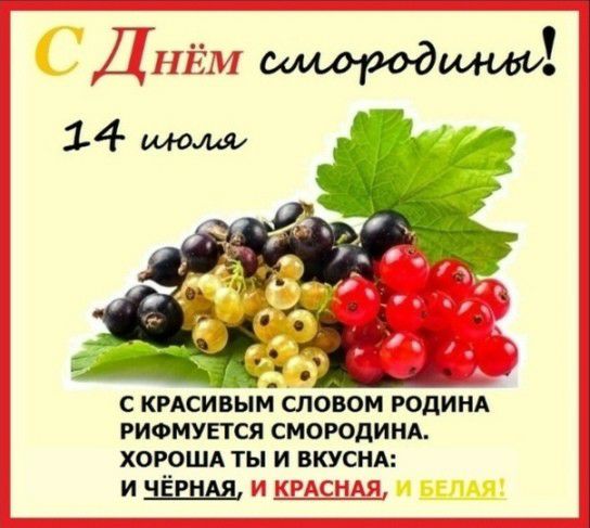 С КРАСИВЫЙСЛОВО РОДИНА РИФМУЕТСЯ СМОРОДИНА ХОРОША ТЫ И ВКУСНА и и шшща