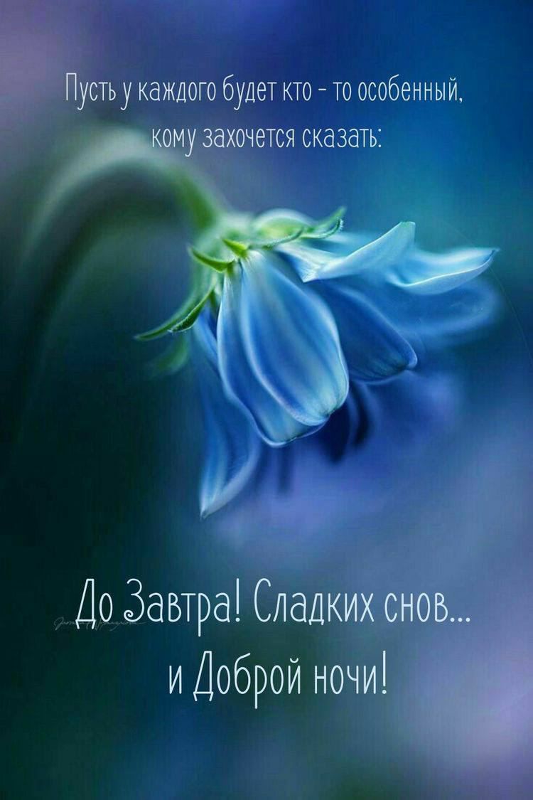 каждого будет кто то особенный тсясказать До Завтрёі и Доброй н