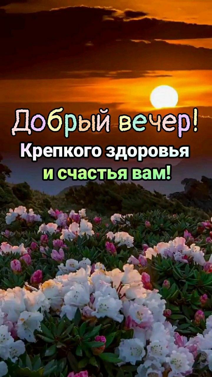 Добрый веёр Крепкого здоровья 3стьядвам