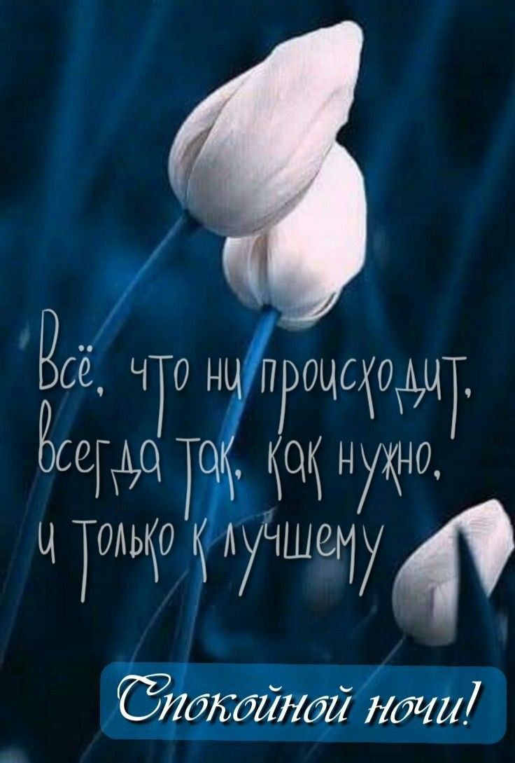 Ёсё ЧГ плечами Ёсе ЧТО лучше ЁЁЙЙ 1124