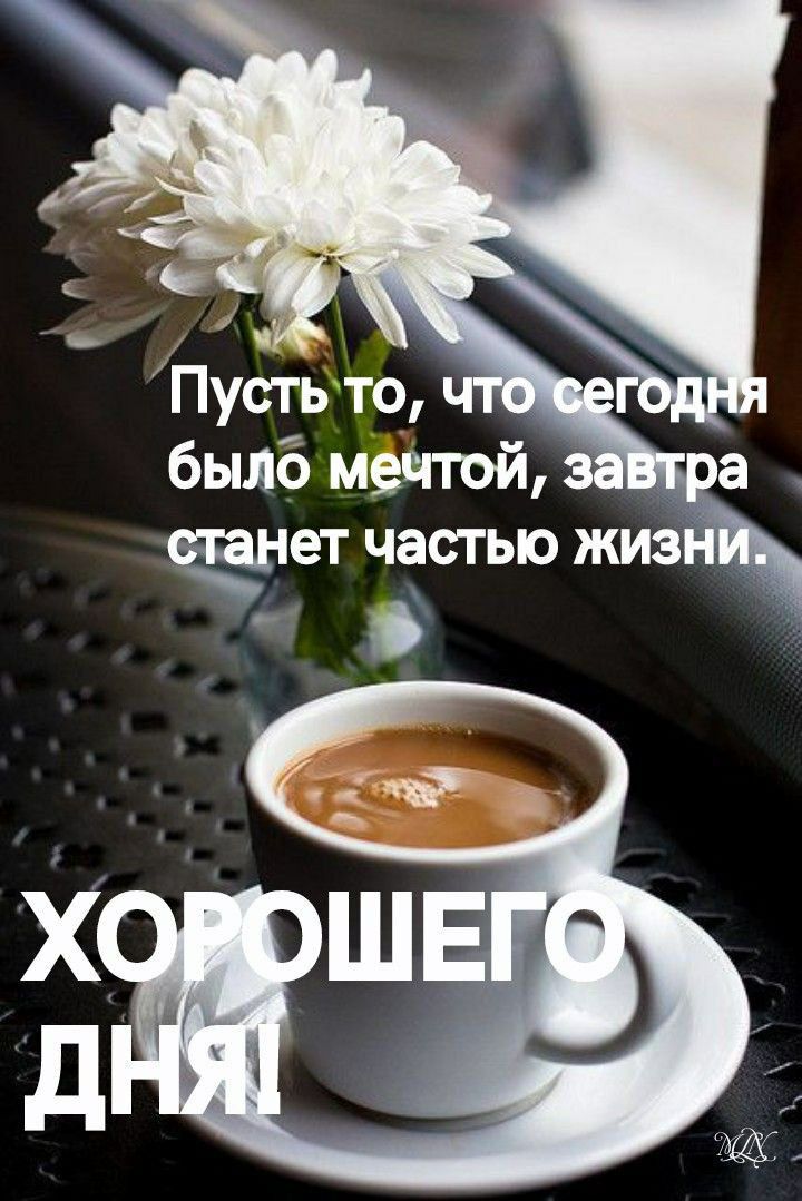 былб азиат частыо живи
