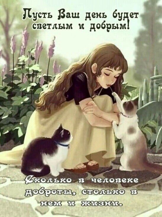 Пусть Ваш день бу ет светлым и добры г Ш