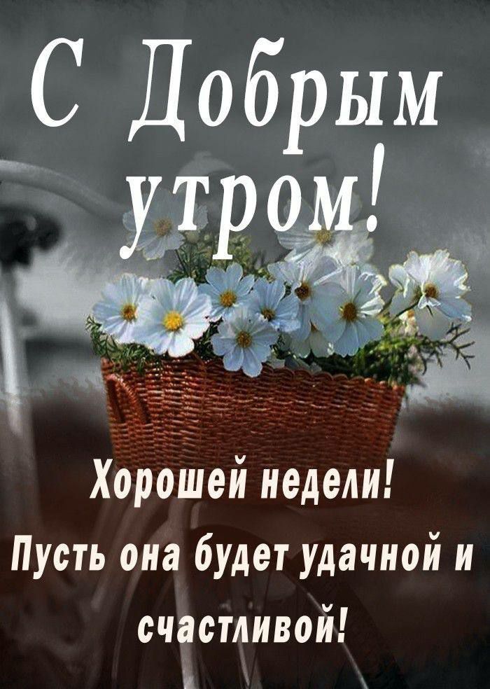 Хорошей недели Пусть она будет удачной и счастливой