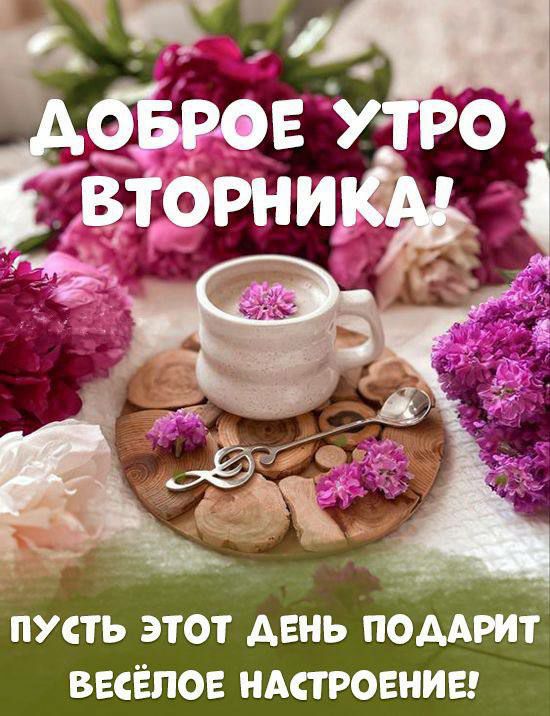 пусть этот день поддрит выЁпо ндтовниы