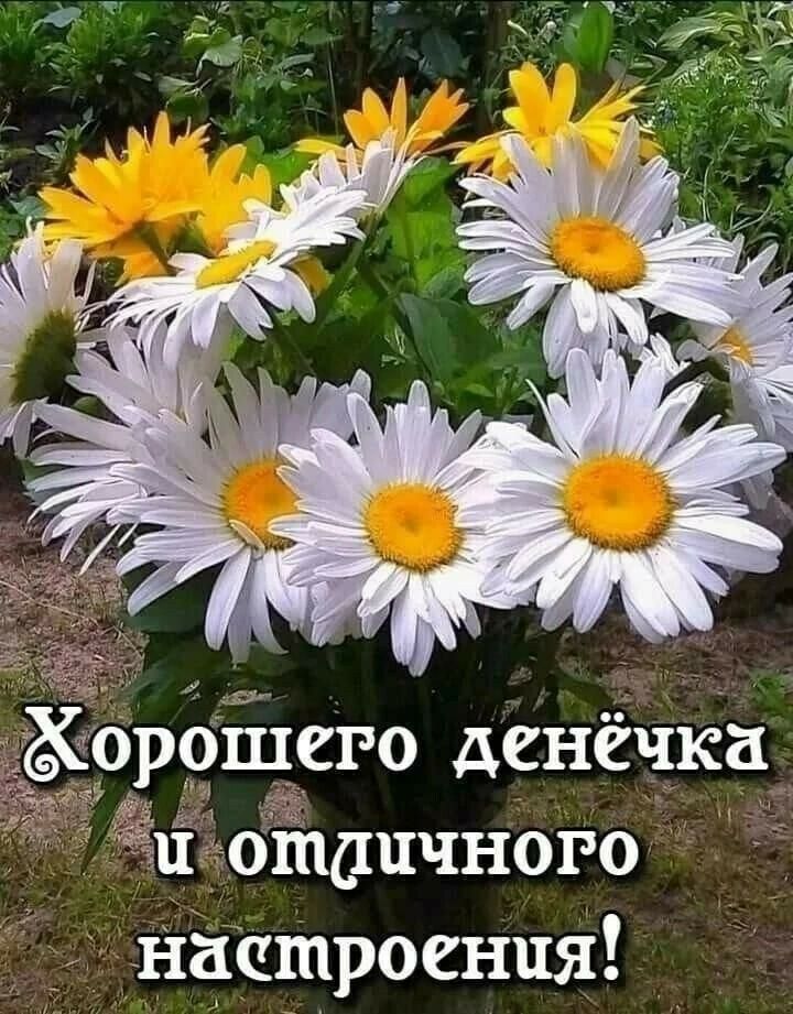 рфішго денёчка ді Ойапчного Настроения