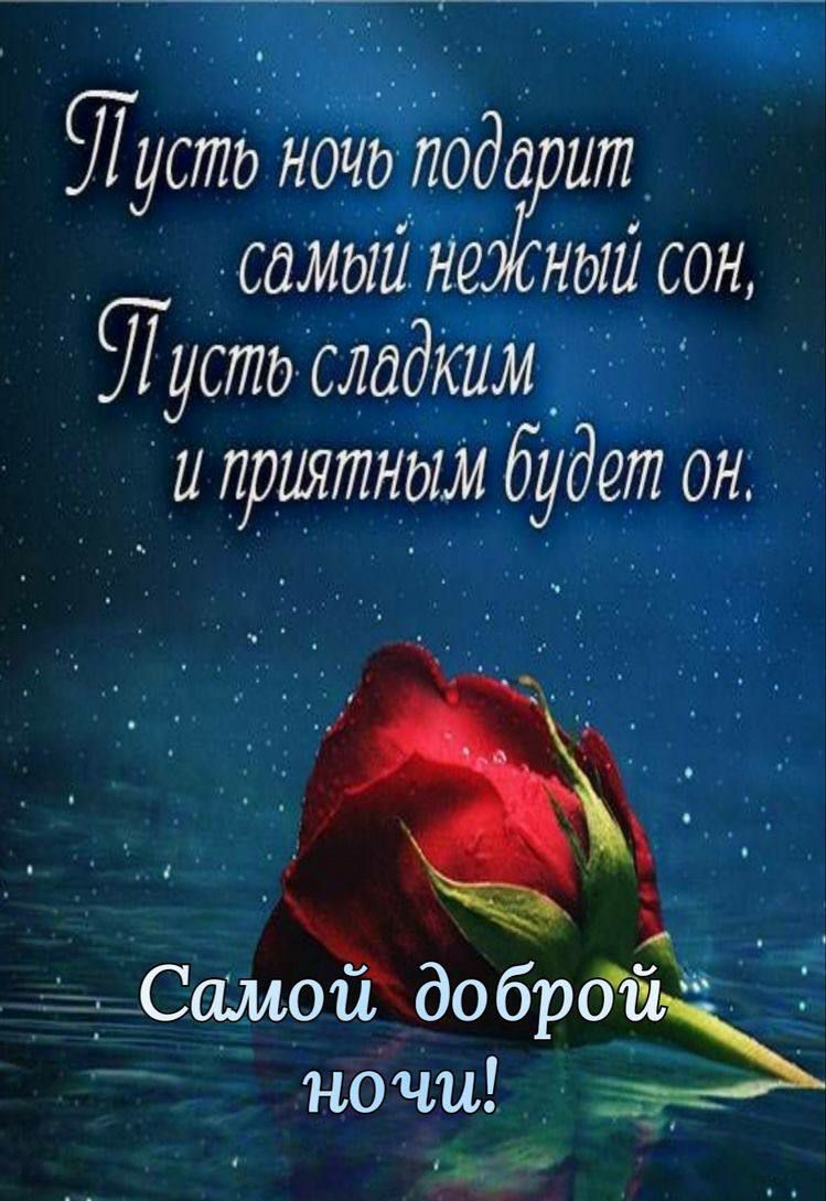 стд НОЧдлодд ит самый не ный сон тудпд сладКим _ _ и приятным будет он ы Самои добрсъ ночи да