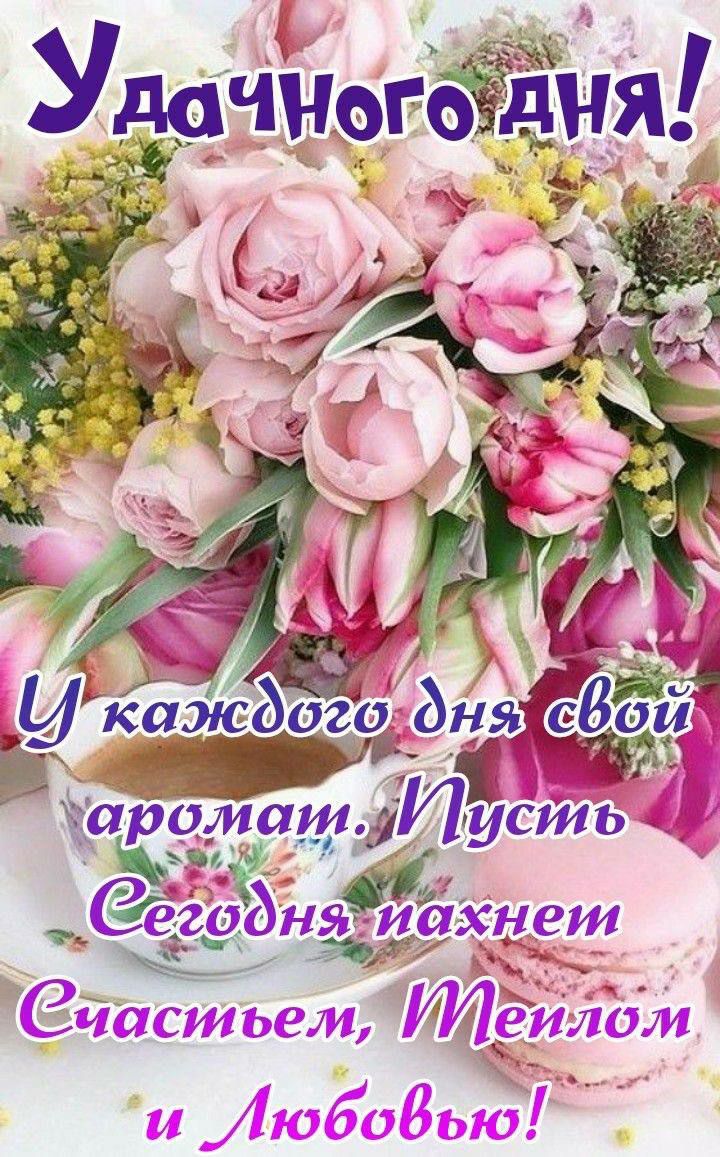 мд тччогЁЁНЯ 35 _х 41 _ А