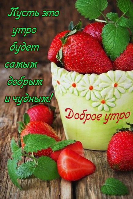 17 усть это утЮ і дет 335 у у ага Ё СОЖЫЖ н