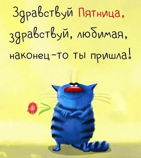 ЗЭРаЁСТЁуЙ ПЯТница ЗЭРаЁстЁуи АюЁимая ндКОнец ТО ты примию