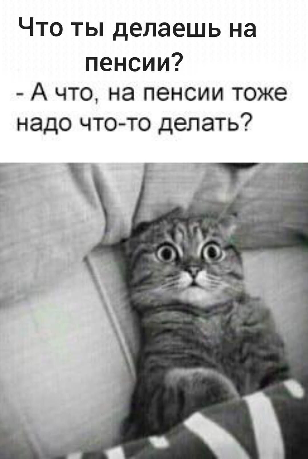Что ты делаешь на пенсии А что на пенсии тоже надо что то делать