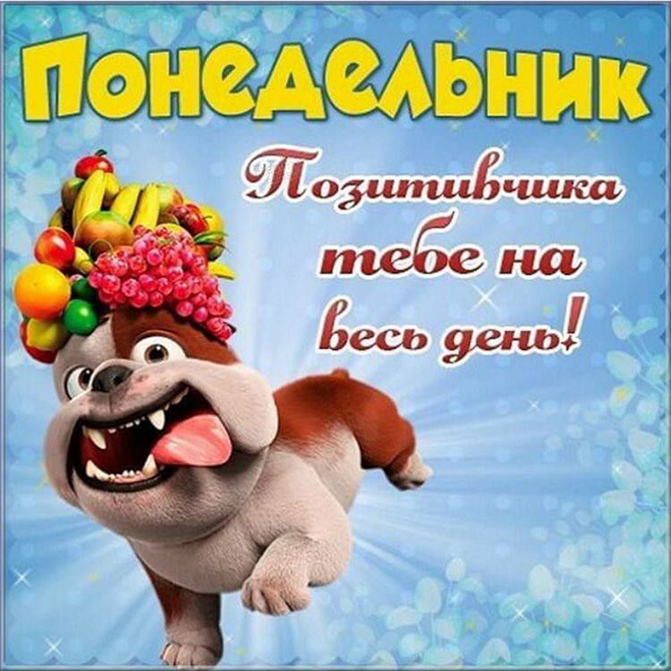ионмиьник тозшгшйчшш тебе на