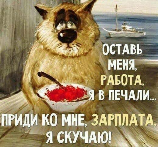 остАвь _ МЕнзгі РАБОТА в нЕчАли иги ко мнЕ ЗАРПЛАТ ёё я стима ё