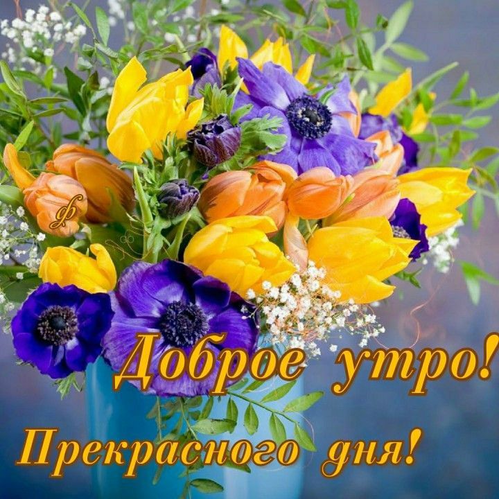 Прекрасітгб уни