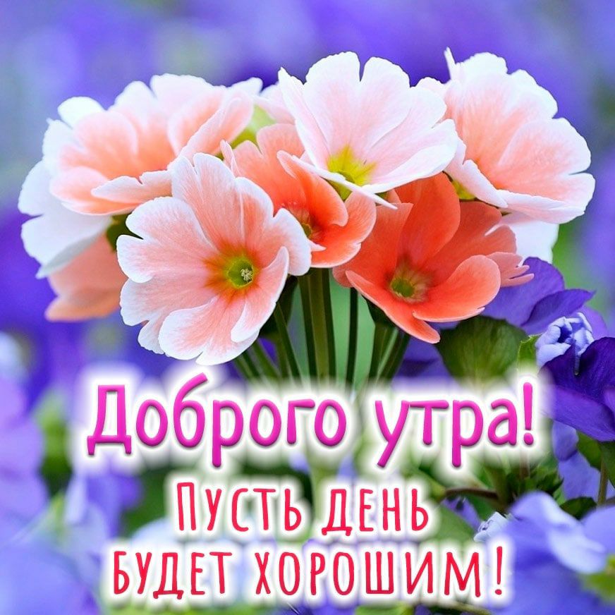 БУДПЕТ ХОРОШИМ