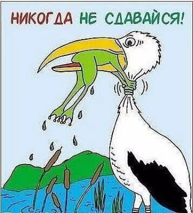 никоим не сддвдйсяг 7 А
