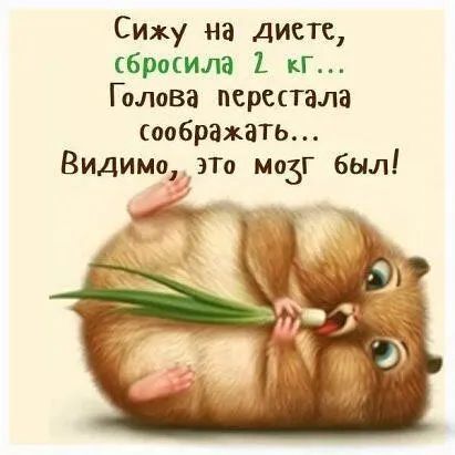 Сижу на диете бросим 1 кг Голова перепада соображать Видимозт мозг был