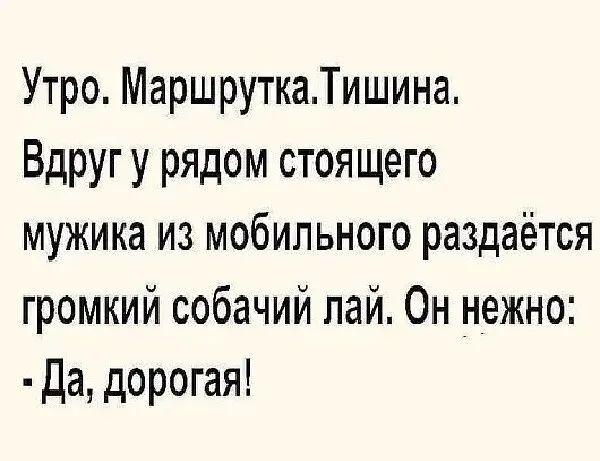 Утро МаршруткаТишина Вдругу рядом стоящего мужика из мобильного раздаётся громкий собачий лай Он нежно Да дорогая