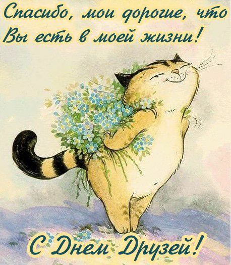Стрий мои уошше то до шт идеи жизни
