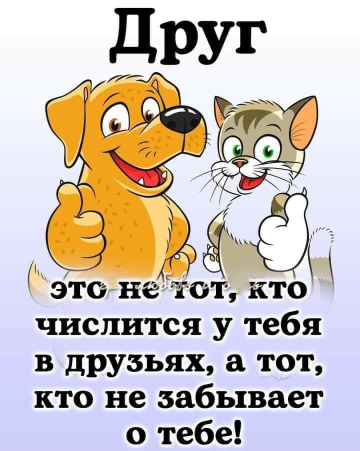 числится у тебя в друзьях а тот кто не забывает о тебе