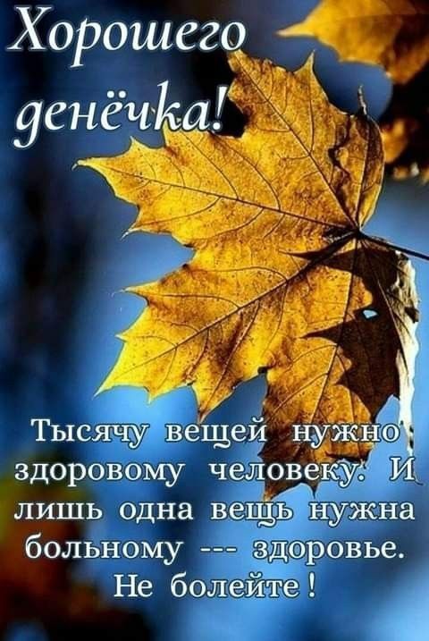 Тысячу вещей здоровому ШЗ лишь одна вещь нужна больному здоровье Не болейте