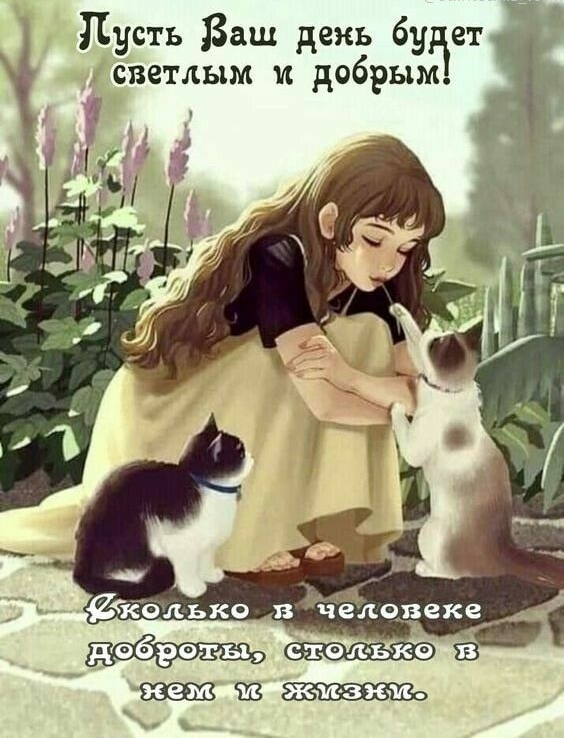 Пусть Ваш день бучет светлым и 69