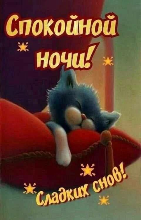 _ Спокоиноиа