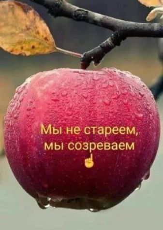 Ьъ14еістареём мы созреваем