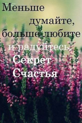 Меньше д майте