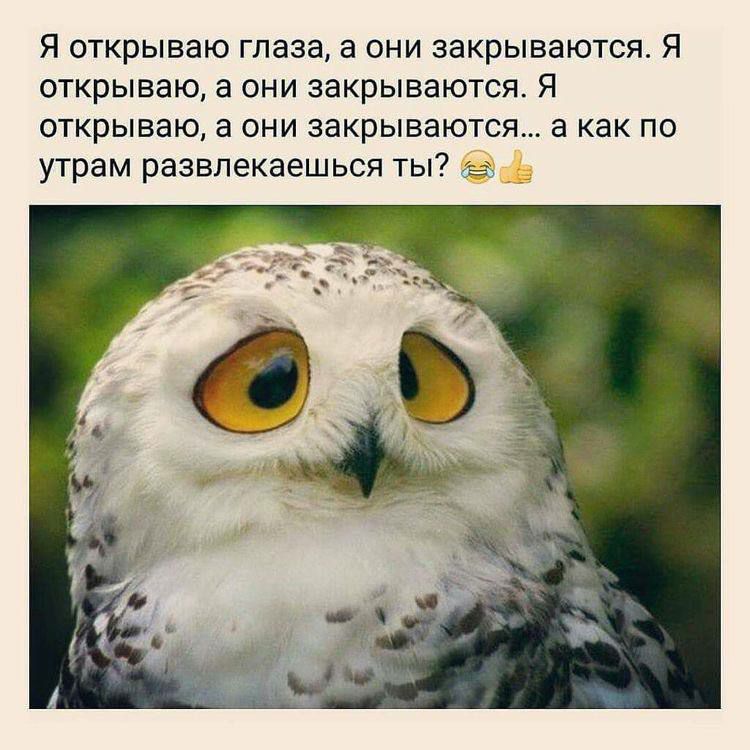 Я открываю глаза а они закрываются Я ОТКРЫВЗЮ а ОНИ ЗЗКРЫЕЭЮТСЯ Я открываю а они закрываются а как по утрам развлекаешься ты