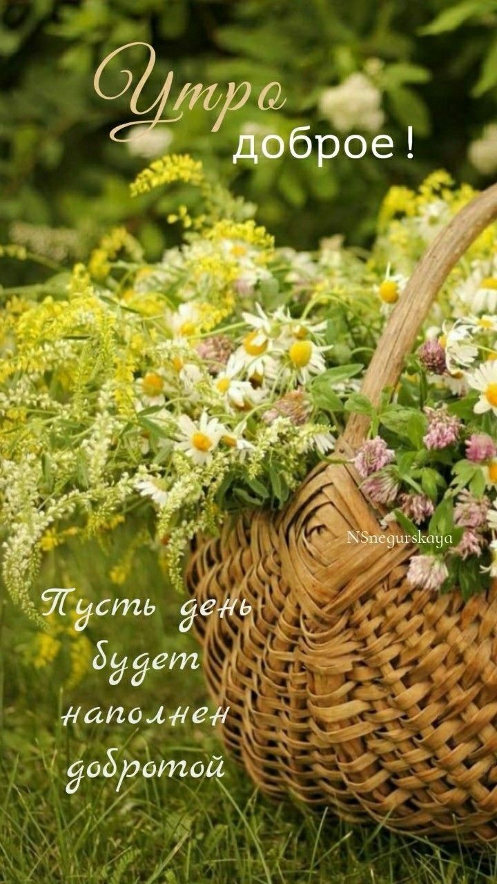 кд О тои апалнед