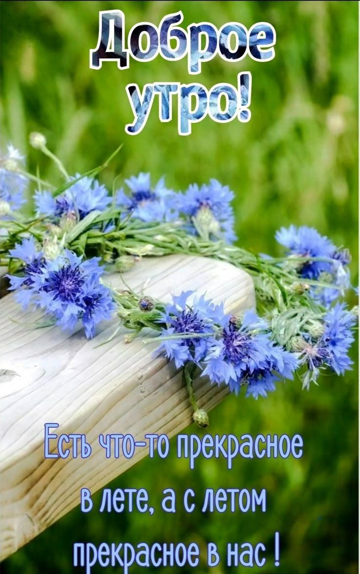 пнекасное в нас