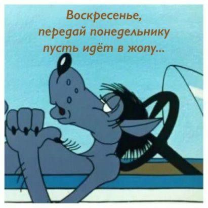 Воскресенье передай понеуельнику пус ь идёт в жопу