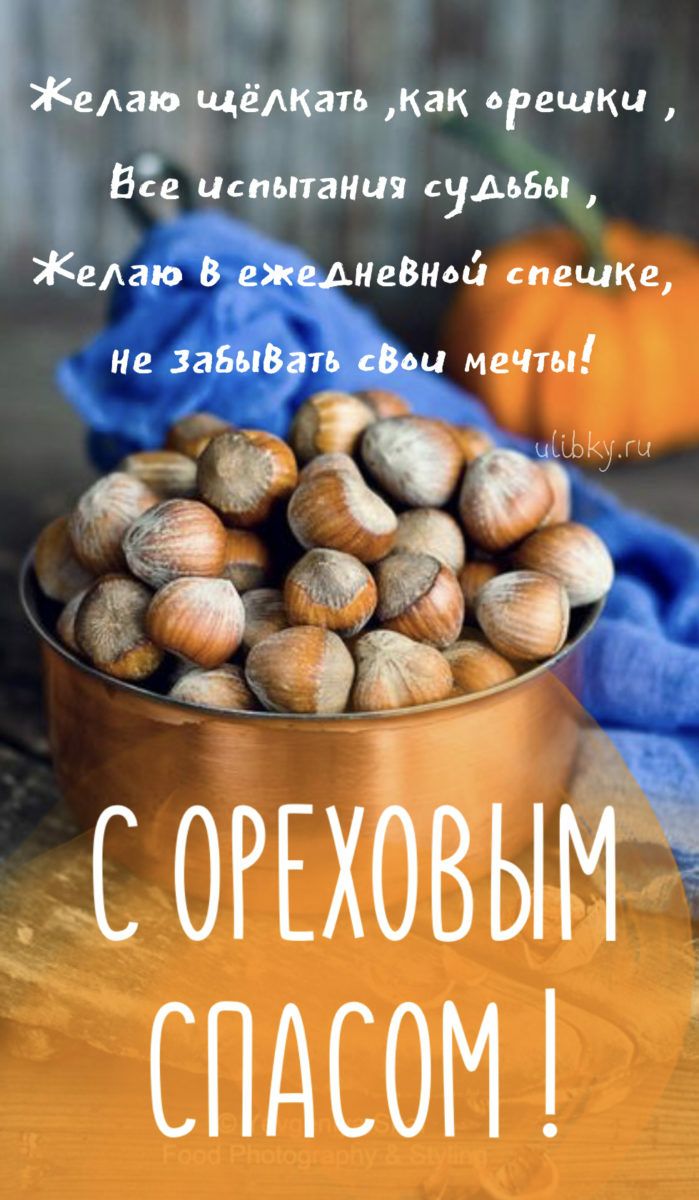 МЕЧМ СОРЕХОЁЫМ СПДСОМ
