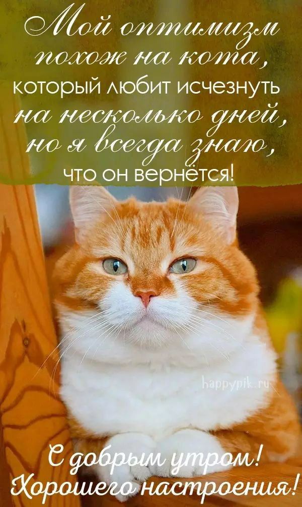 07 ОіИИ1И плющг на до который мобит исчезнуть нем на Ёідкд что он вернется