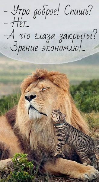 уТ 0 0608 СИЫШЬ же 74 ЪТО миди ёЛСРЫТЫ ЗРЕНИЕ ЗКОНОМфЮ
