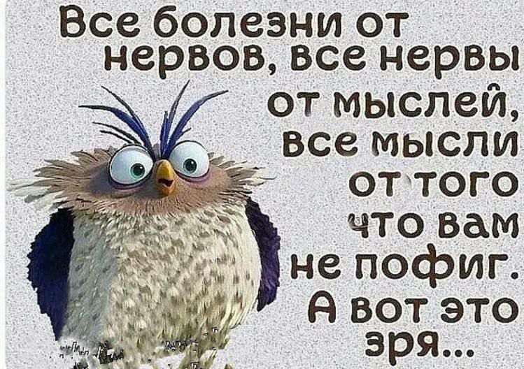 Все болезни от нервов все нервы от мыслей _ все мысли оттого что вам не пофиг я вот это зря