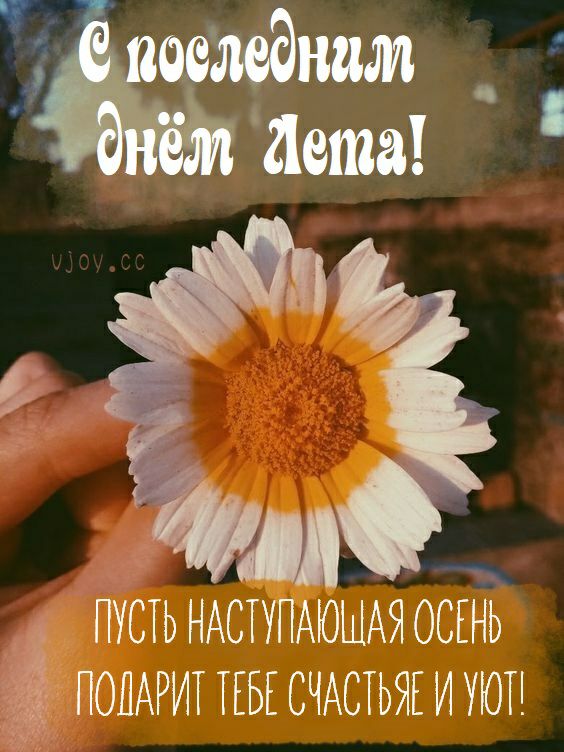 аповжёнам _ дета пусть НА ОСЕНЬ _ __ ПОПАРИТ ТЕБЕ СЧАСТЬЯЕ И УЮТ