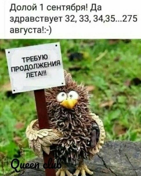 Долой 1 сентября Да здравствует 32 33 3435275 августа