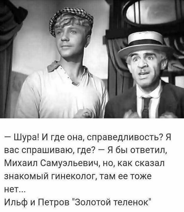 Шура И где она справедливость Я вас спрашиваю где Я бы ответил Михаил Самуэльевич но как сказал знакомый гинеколог там ее тоже нет Ильф и Петров Золотой теленок