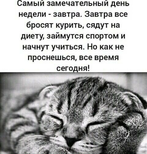 Самый замечательный день недели завтра Завтра все бросят курить сядут на диету займутся спортом и начнут учиться Но как не проснешься все время сего ня