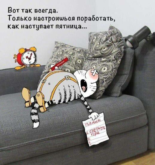 Вот так всегда Только настроиться поработать как ЧЗПТНПЗЕТ пятница