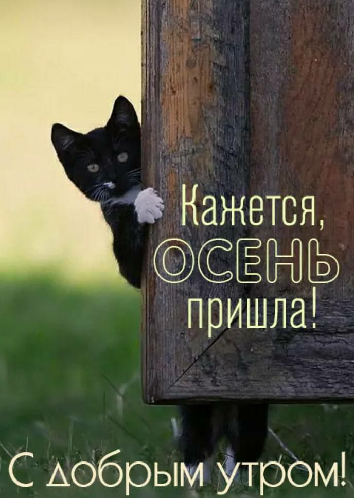 Кажется ЁЁПГЬ пришла С Аобрым УтрОМ