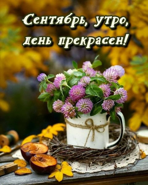 Сентябрь утро день прекрасен