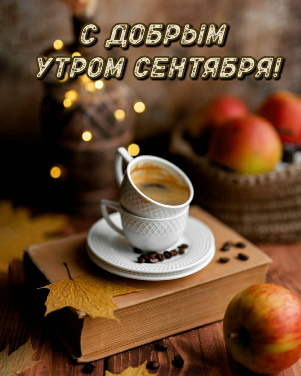 3 а_даБРЬм угЬамтсЁнтяврт г дд