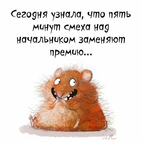 Сегоуня узнала что пять миНут смеха ниу начальником заменяют премию