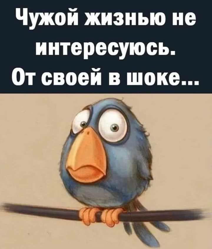 Чужой жизнью не интересуюсь От своей в шоке