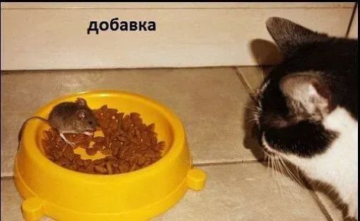 добавка