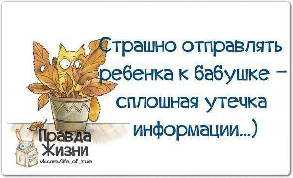 трашно отправлять нка к бабушке сплошная утечка информации