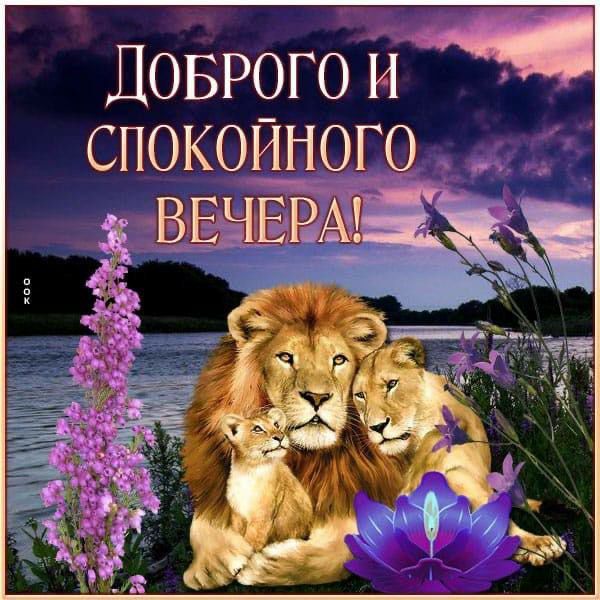 Доврогои _ спокойшого